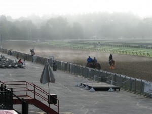 Early morning workout at Saratoga Racetrack.