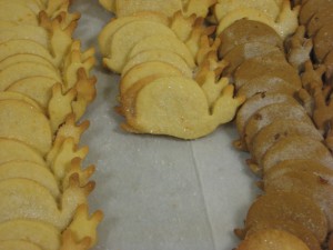 Slow Food snail cookies baked by SCCC students