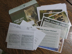 Sierra Club Note Card Mailing